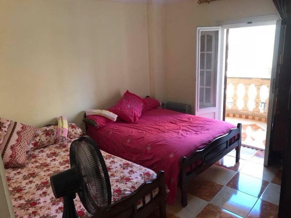 Cozy New 2 Bd Amazing Beach View Next To Hilton Hotel Family Only !العائلات فقط İskenderiye Dış mekan fotoğraf