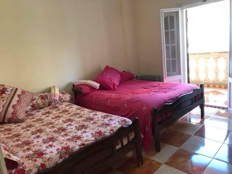 Cozy New 2 Bd Amazing Beach View Next To Hilton Hotel Family Only !العائلات فقط İskenderiye Dış mekan fotoğraf